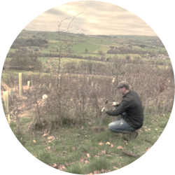 We’re rewilding Yorkshire 